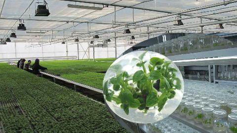 生物技术研发：推动医疗健康行业的革新